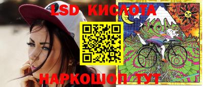 крисы Кимры