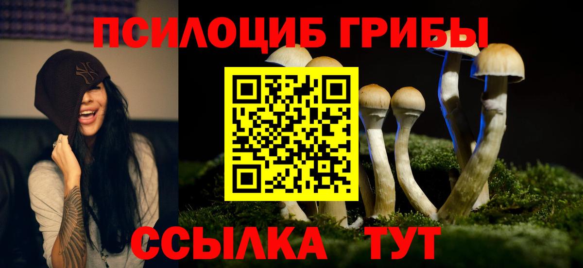 Галлюциногенные грибы прущие грибы  Галлюциногенные грибы Psilocybe  Вход с VPN  Курчатов 