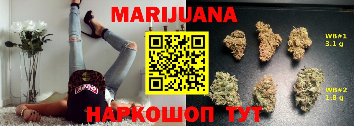 Конопля марихуана Курчатов